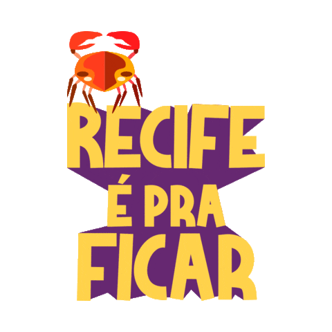 Animação Recife é pra ficar!